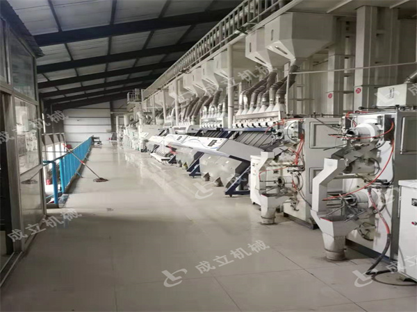 150噸大米加工設備